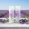 solid lotion lavender